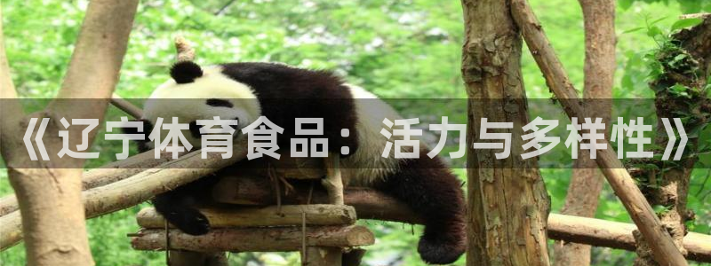 678体育app