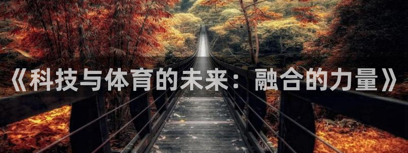 678体育app