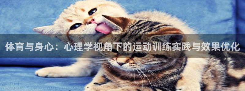 678体育官网