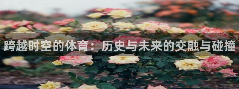 678体育