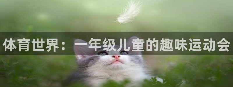 678体育