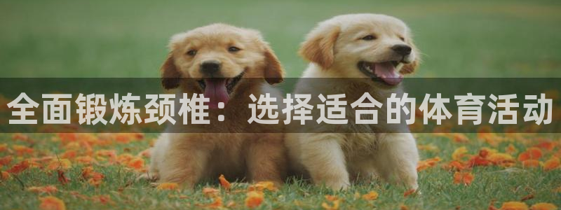 678体育app