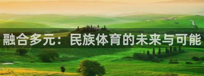 678体育app