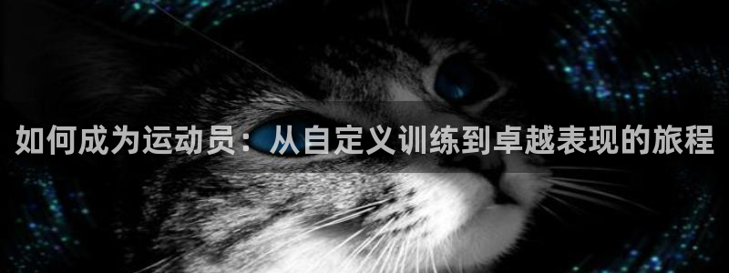 678体育app