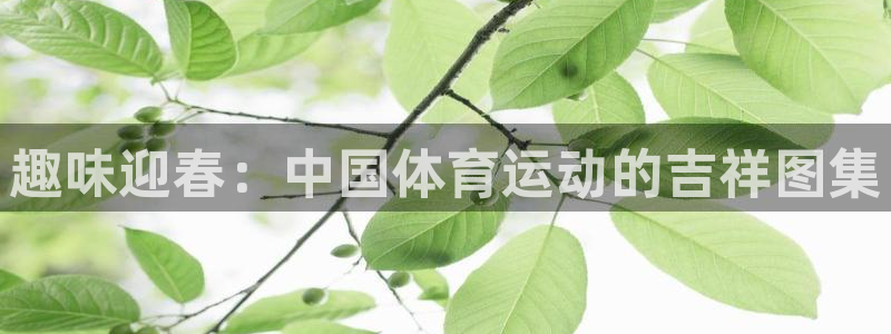 678体育官网下载
