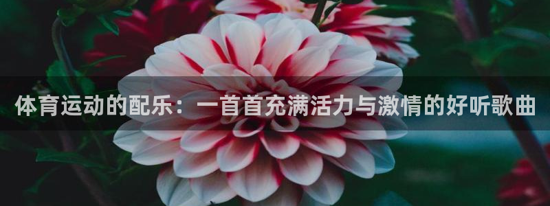 678体育官网地址