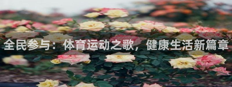 678体育app