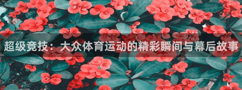 皇冠678体育
