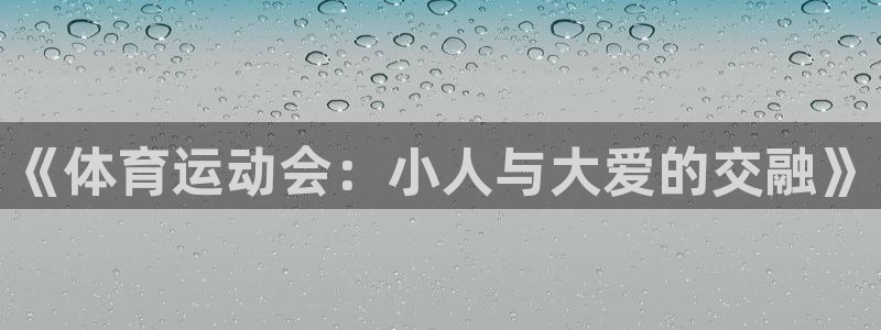 678体育app